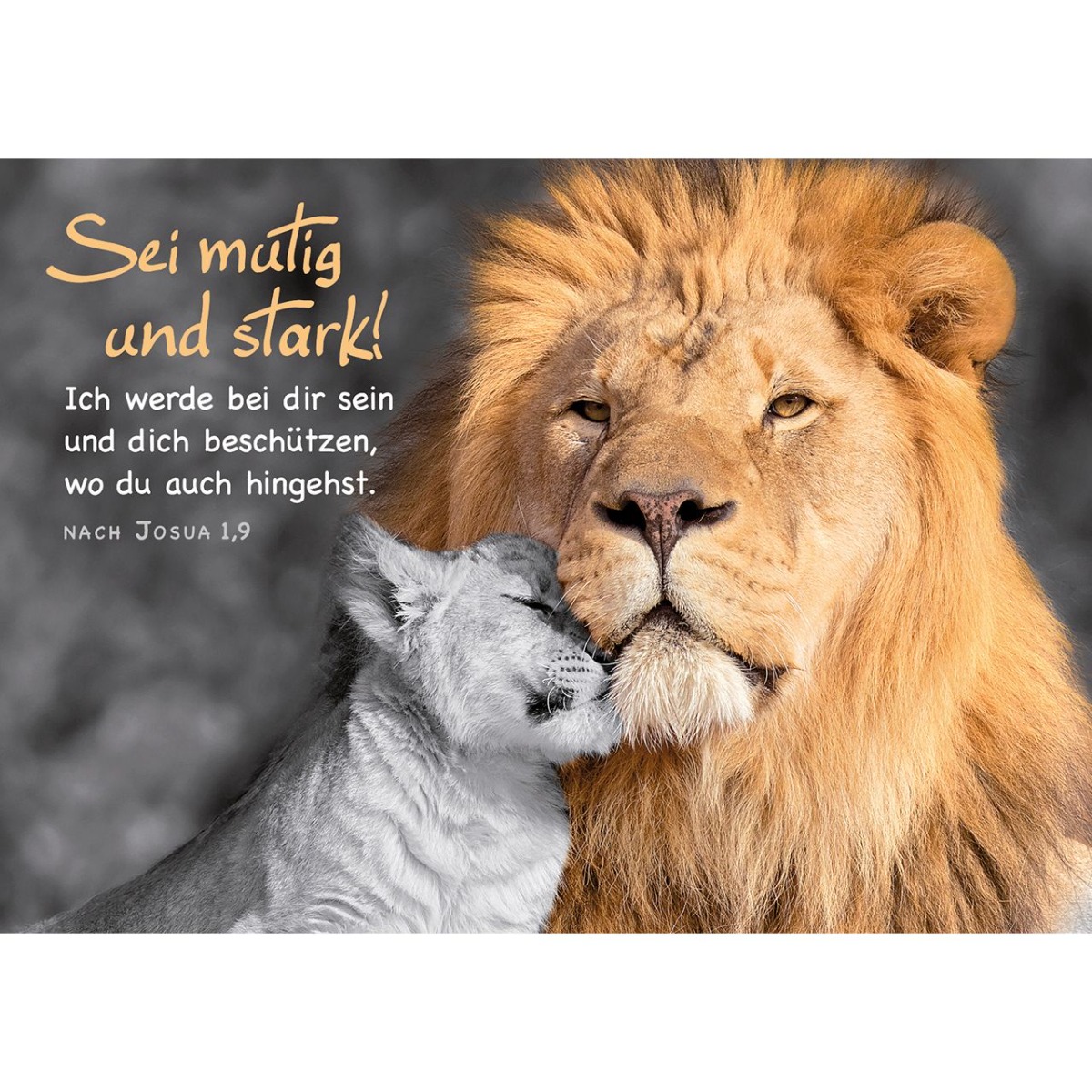 Postkarte 12 Ex.- Sei mutig und stark!