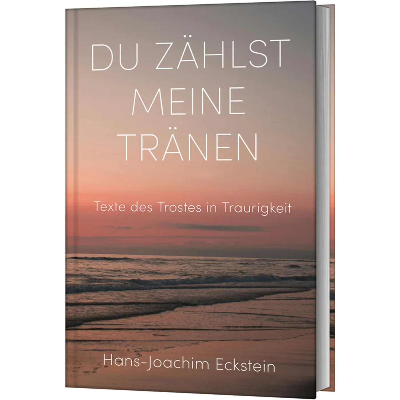 Du zählst meine Tränen