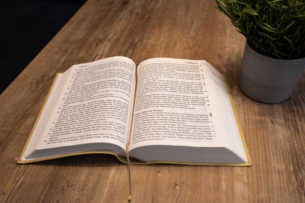 Neues Leben. Die Bibel. Große Schrift, Kunstleder