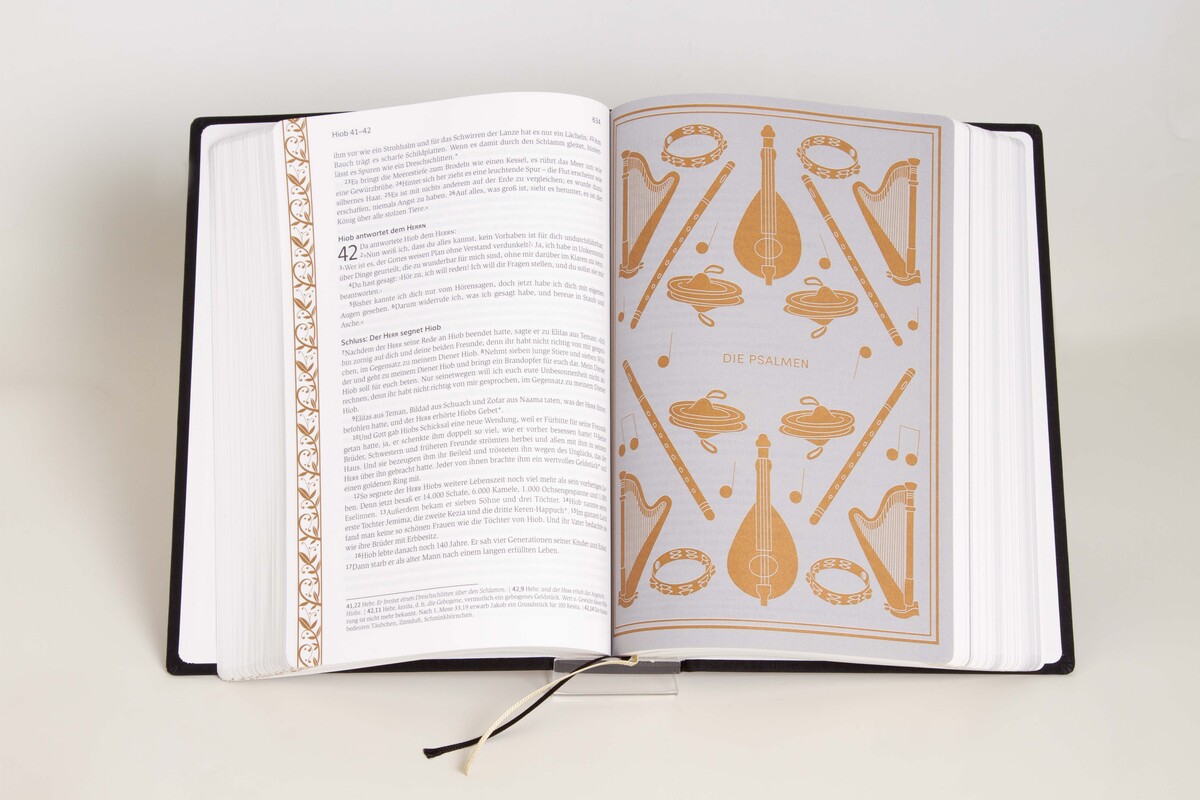 Neues Leben. Die Bibel - Gold/Tintenschwarz