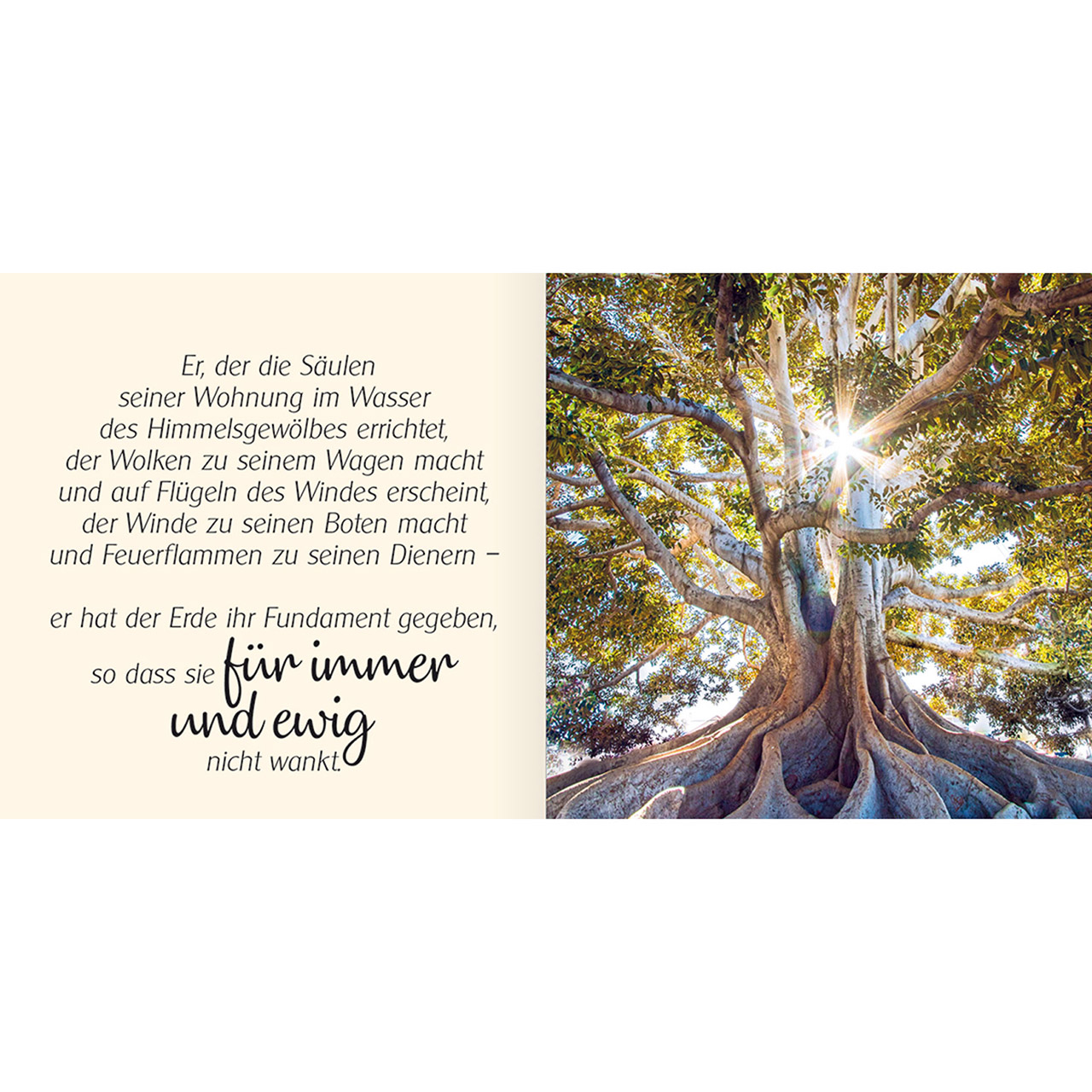 Ich schenke dir Psalm 104