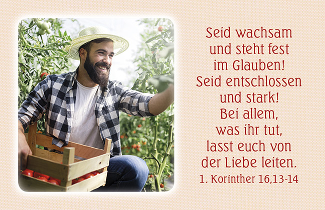 Täglich neue Kraft (Karten-Box)