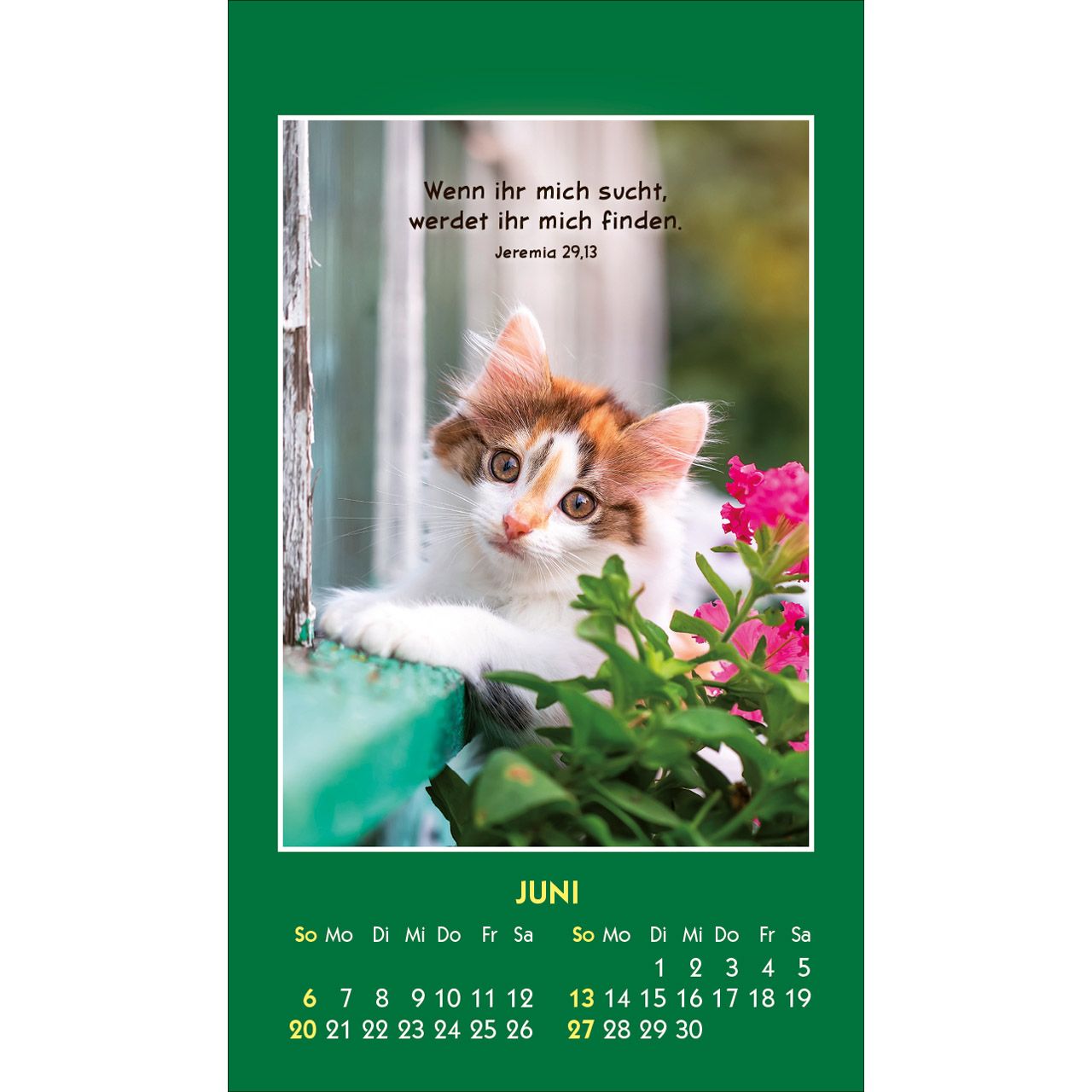 Hallo Du 2027 - Aufkleber-Kalender