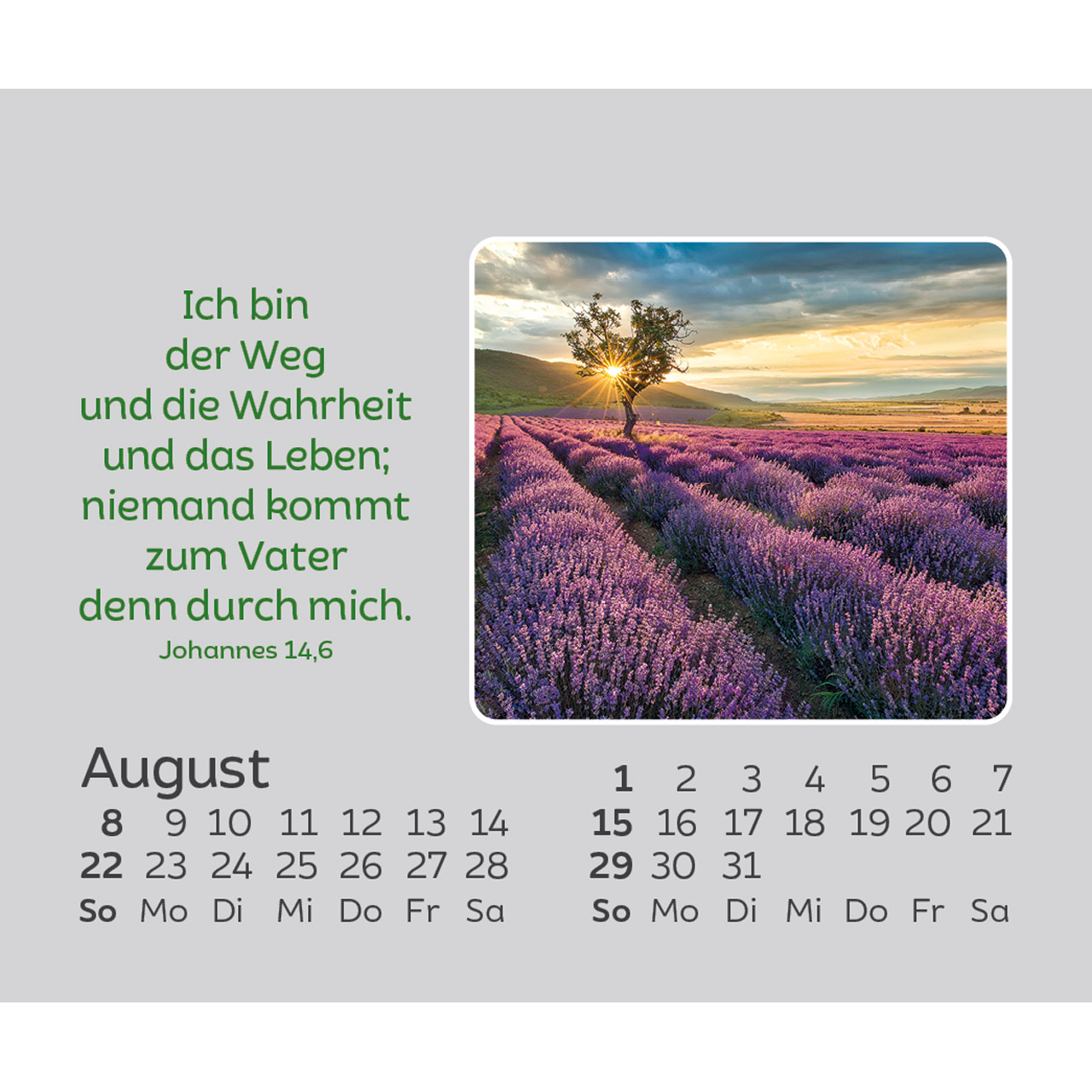 Freude für jeden Tag 2027 - Mini-Aufstellkalender