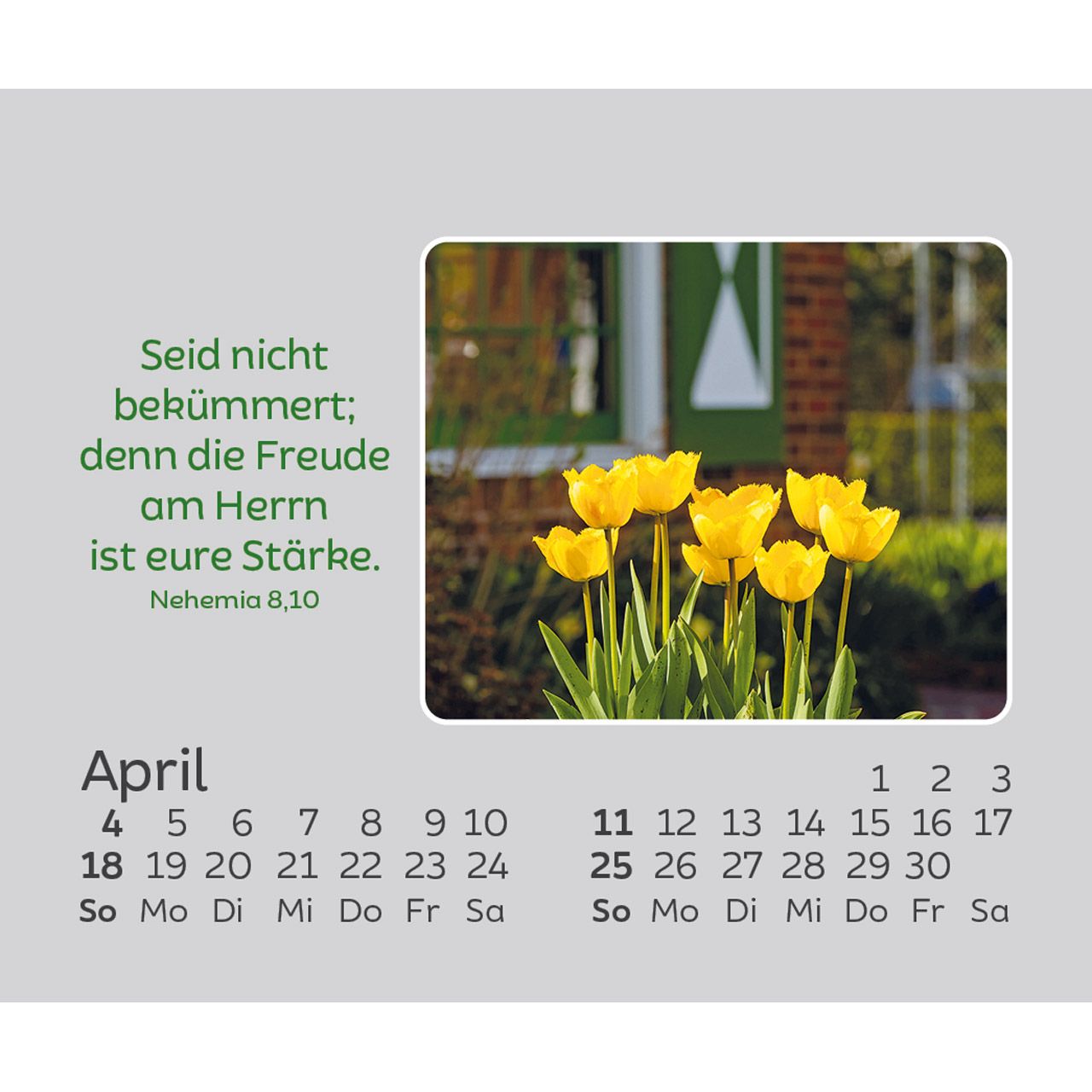 Freude für jeden Tag 2027 - Mini-Aufstellkalender