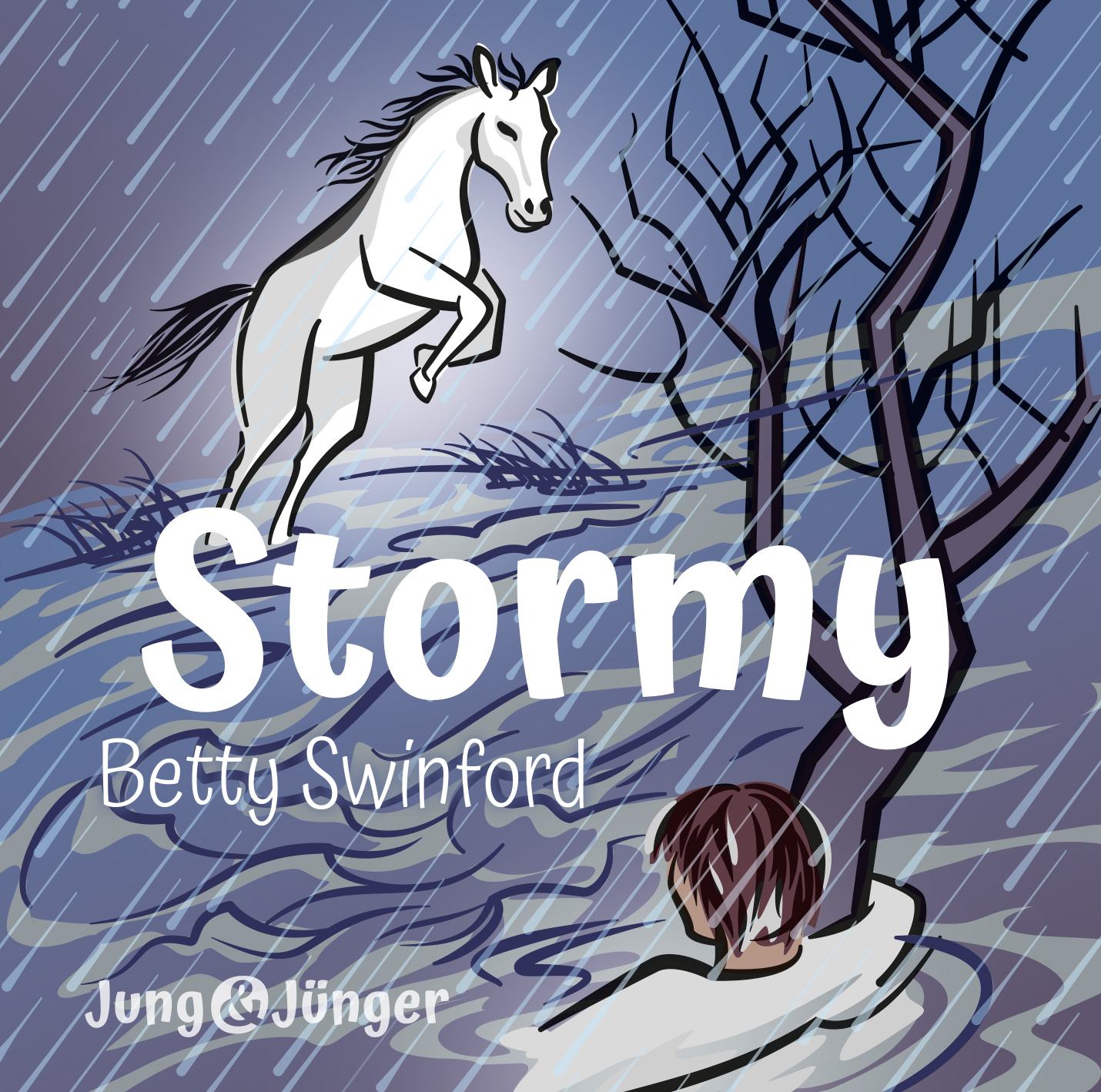 Stormy - Hörbuch