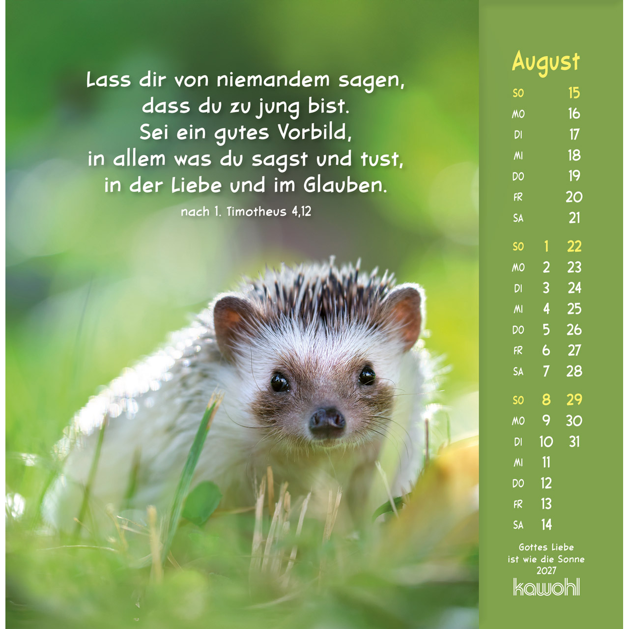 Gottes Liebe ist wie die Sonne 2027 - Postkartenkalender