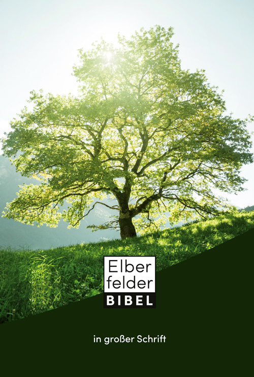 Elberfelder Bibel in großer Schrift