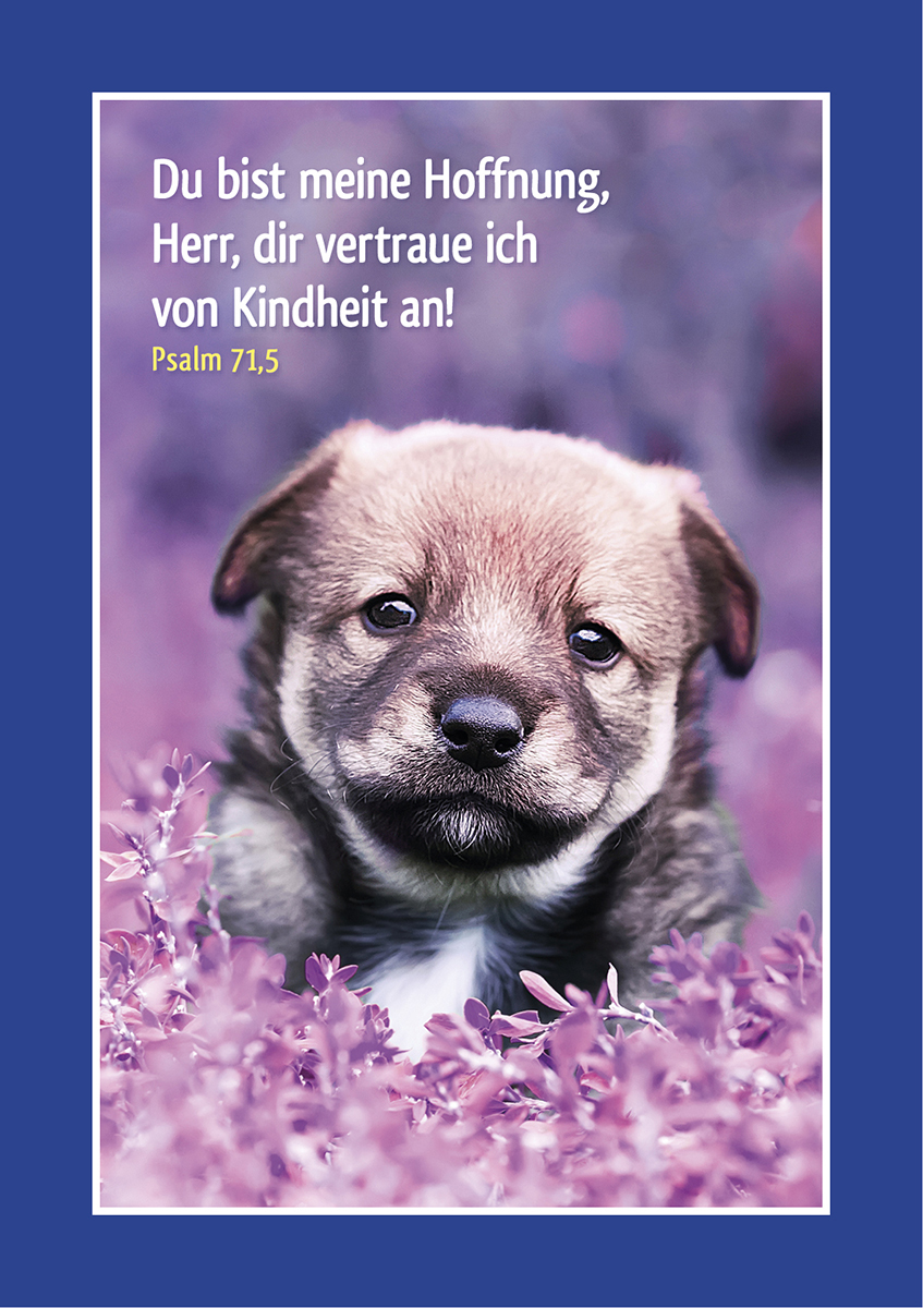Tierisch schön