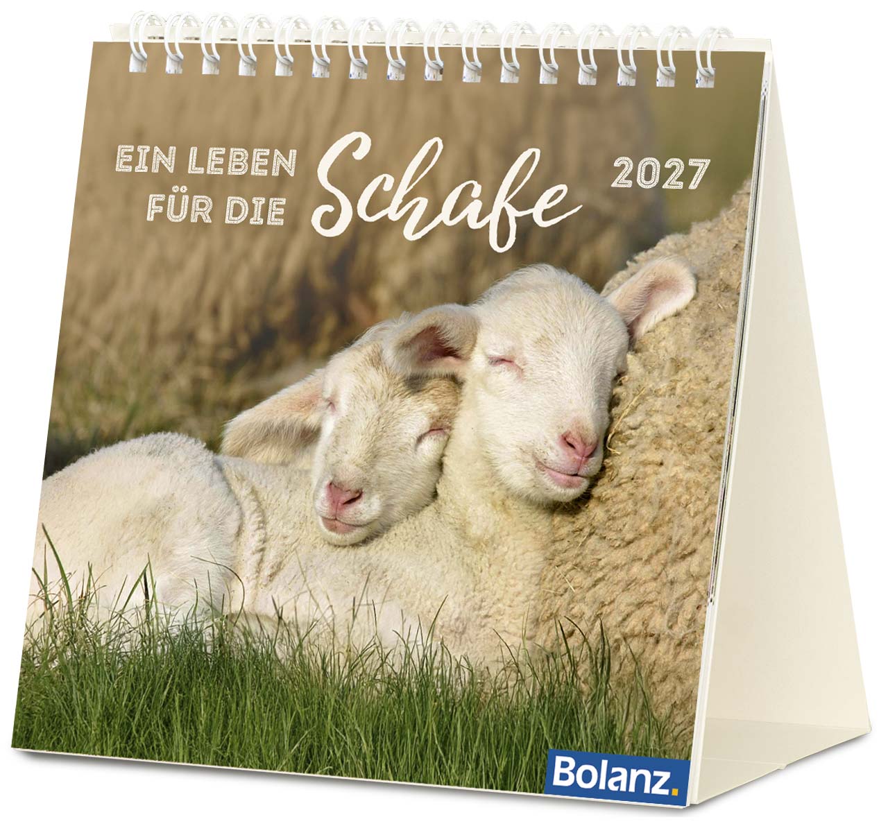 Ein Leben für die Schafe 2027 - Postkartenkalender
