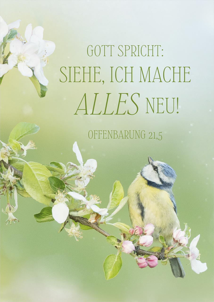 Poster A3 'Gott spricht: Siehe, ich mache alles neu! Offenbarung 21,5