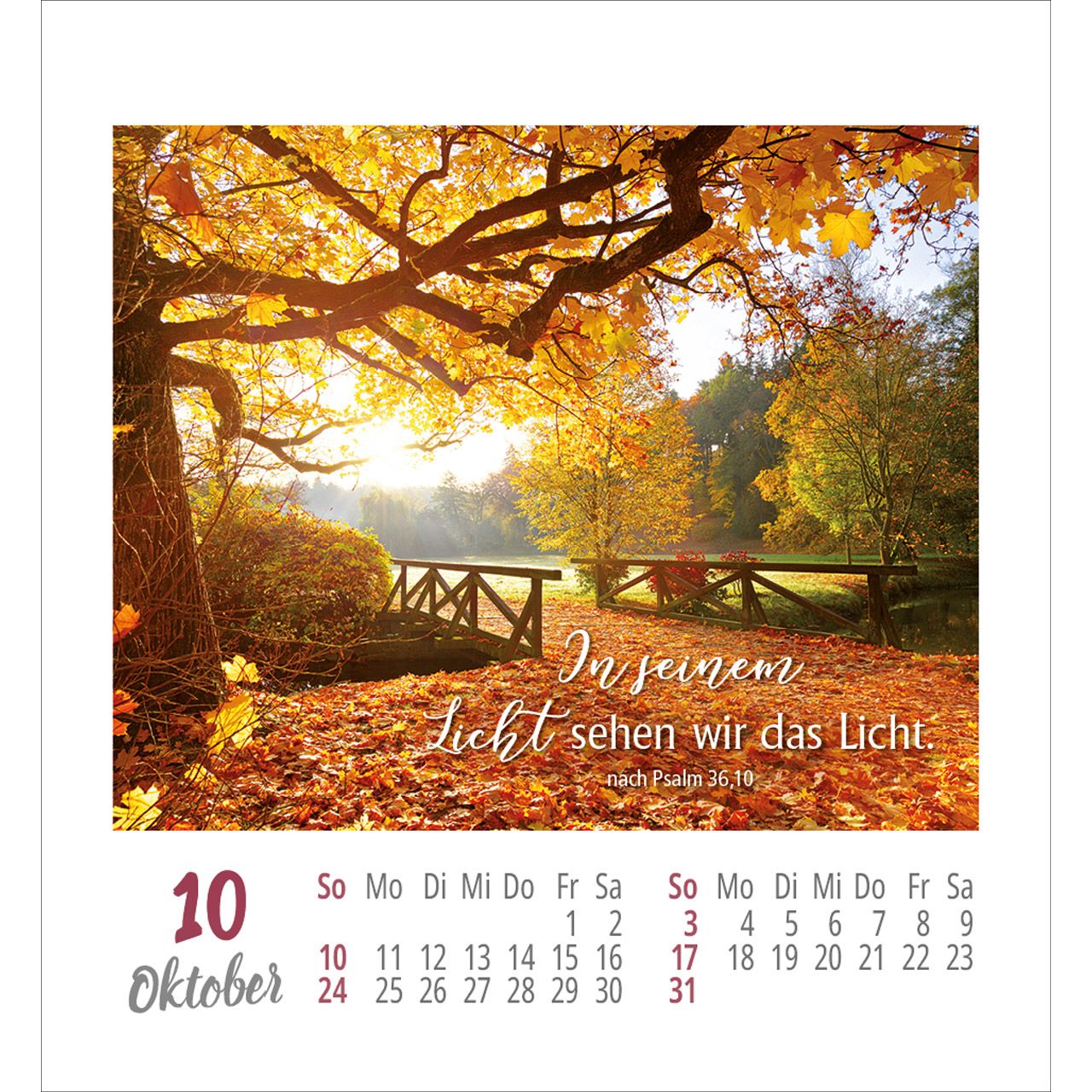 Frei sein & leben 2027 - Aufkleber-Kalender