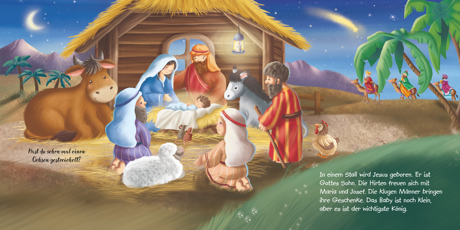 Die Weihnachtsgeschichte