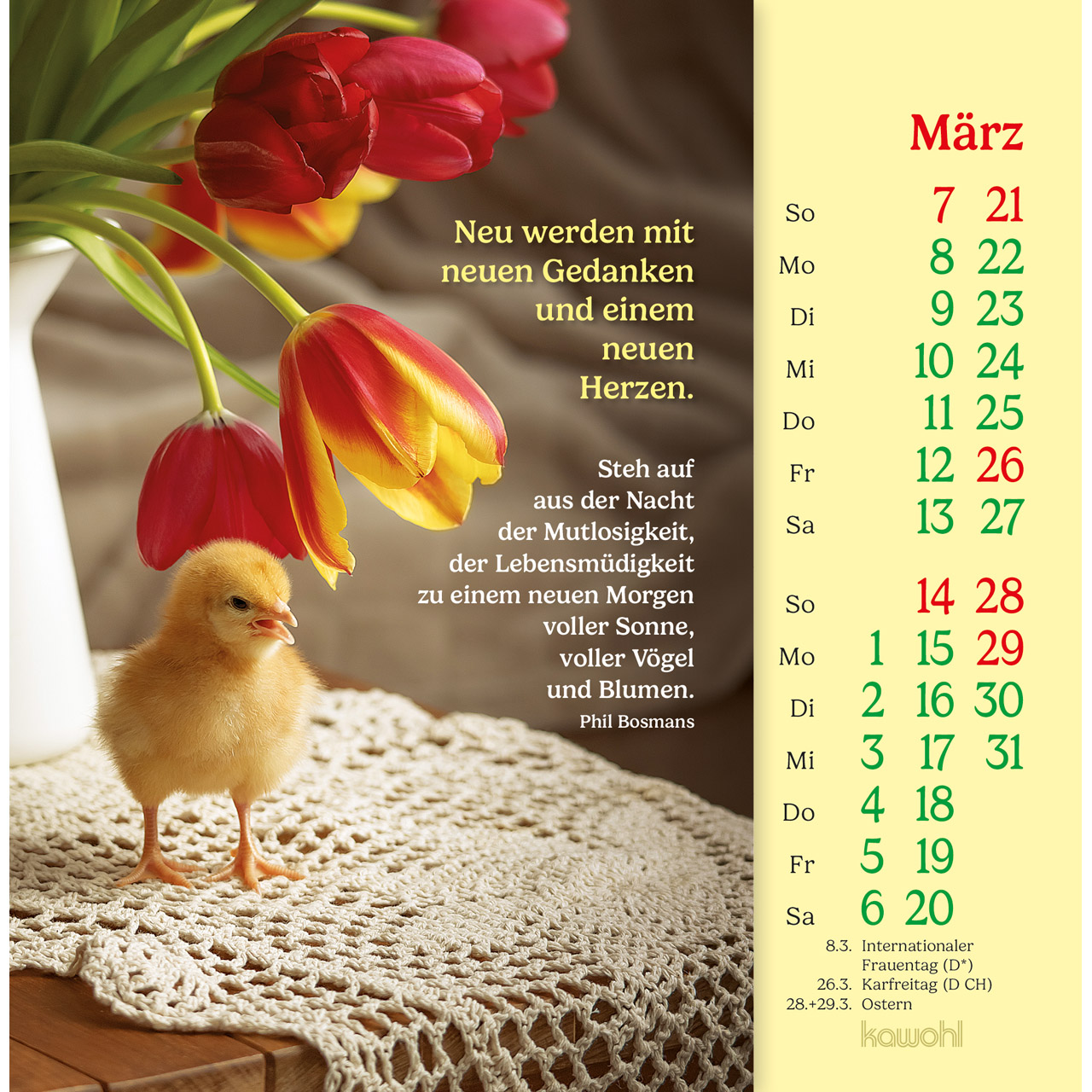 Phil Bosmans 2027 -  Postkartenkalender