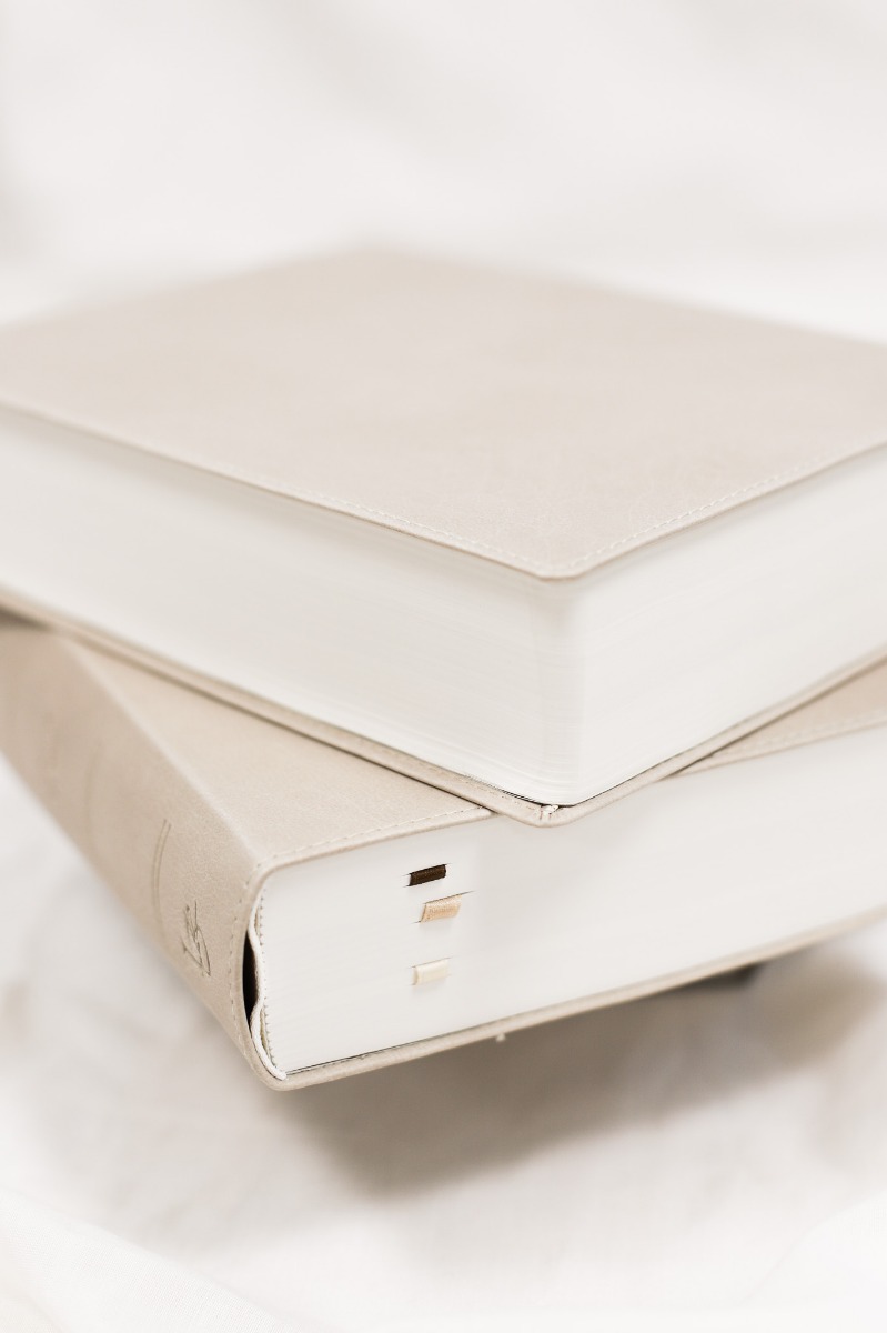 NeÜ bibel.heute LIEBEZURBIBEL (Schreibrandbibel beige)