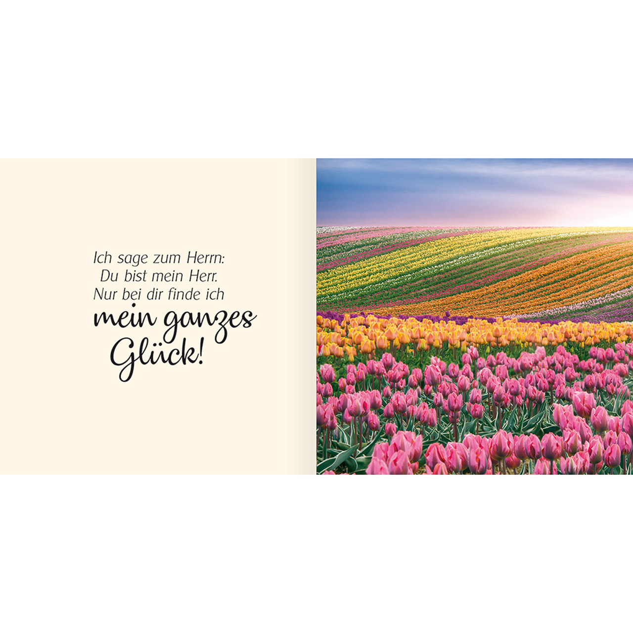 Ich schenke dir Psalm 16