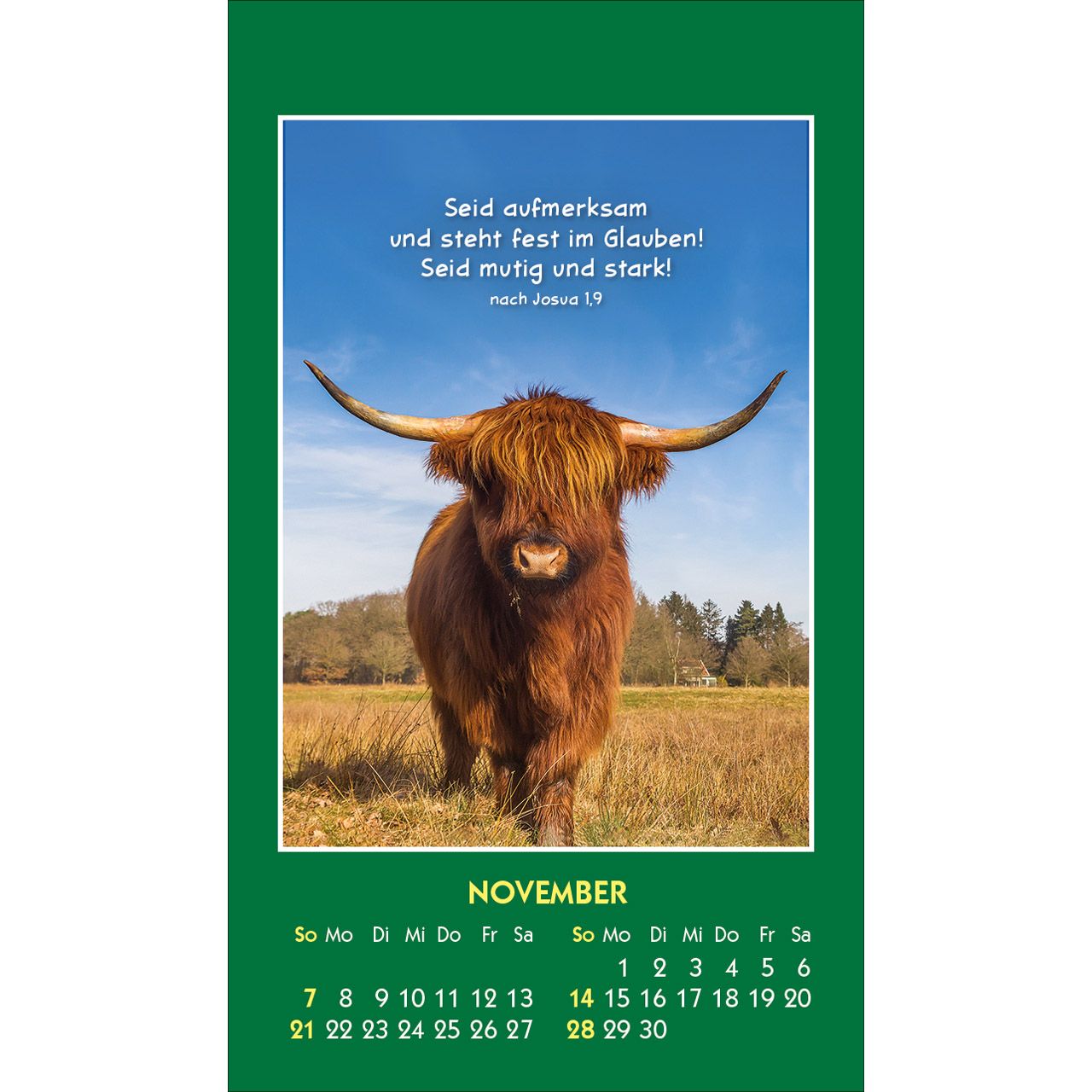 Hallo Du 2027 - Aufkleber-Kalender