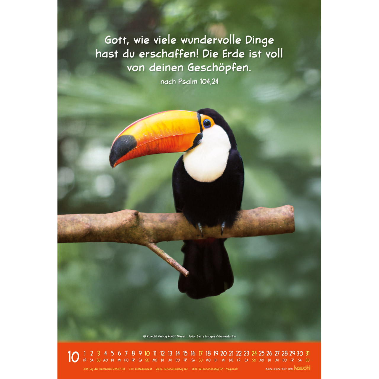 Meine kleine Welt 2027 - Wandkalender