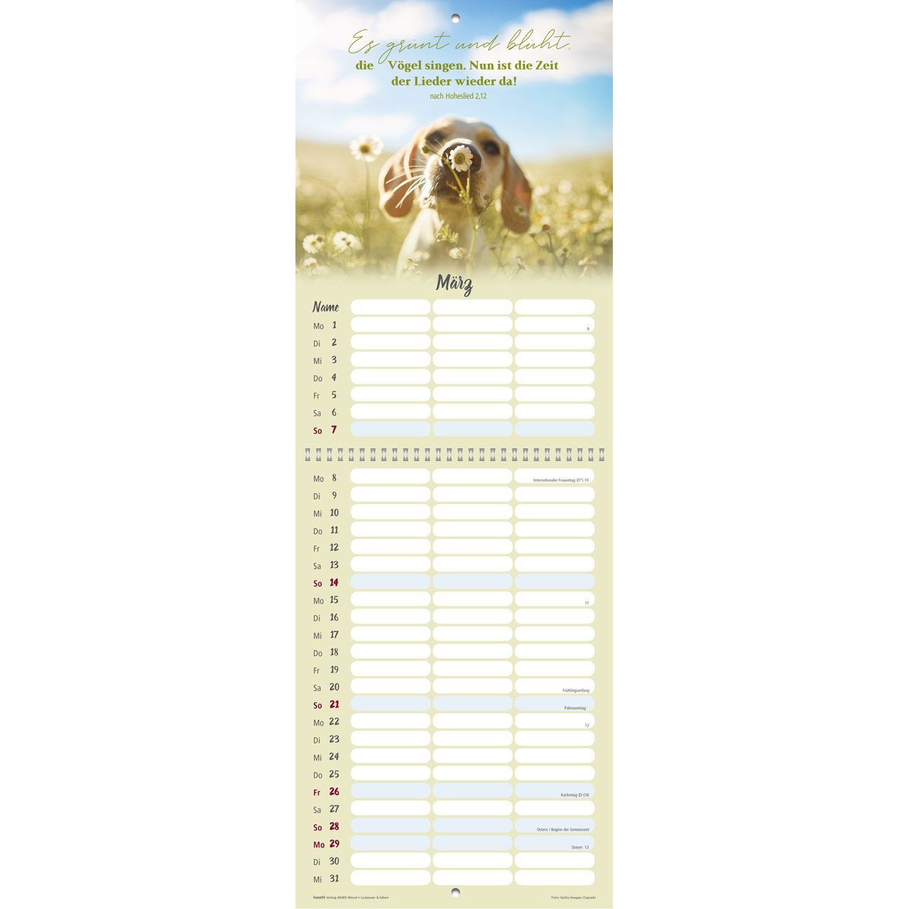 Loslassen & leben 2027 - Wandkalender Terminer