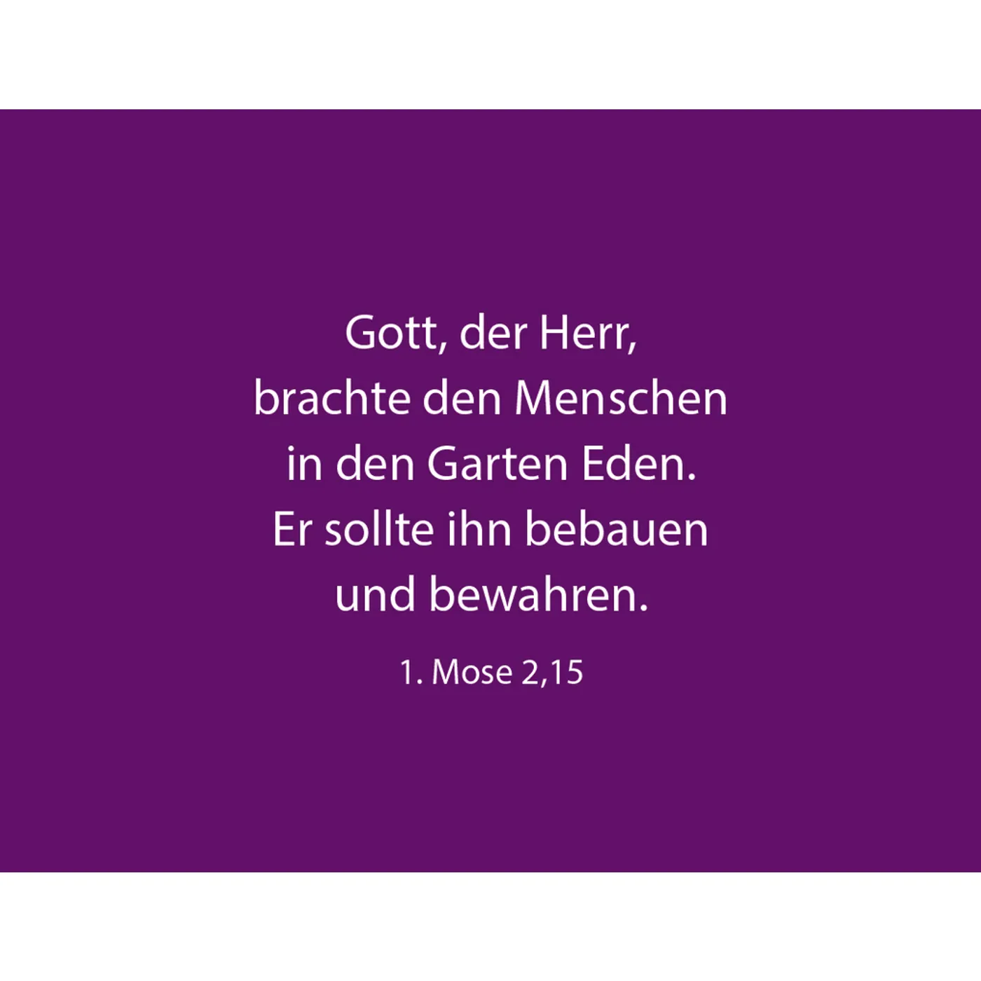 50 Dinge, die Gott an dir liebt – Textkartenbox