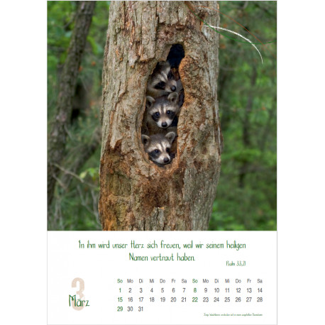 Natur 2026 - Wandkalender