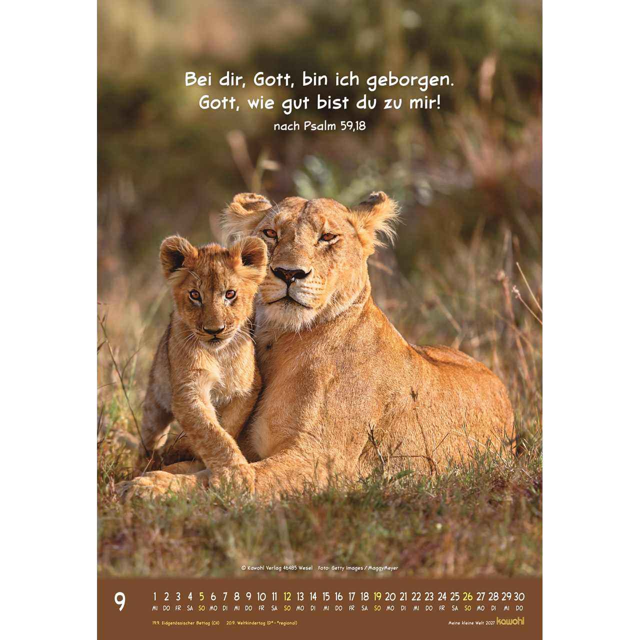 Meine kleine Welt 2027 - Wandkalender