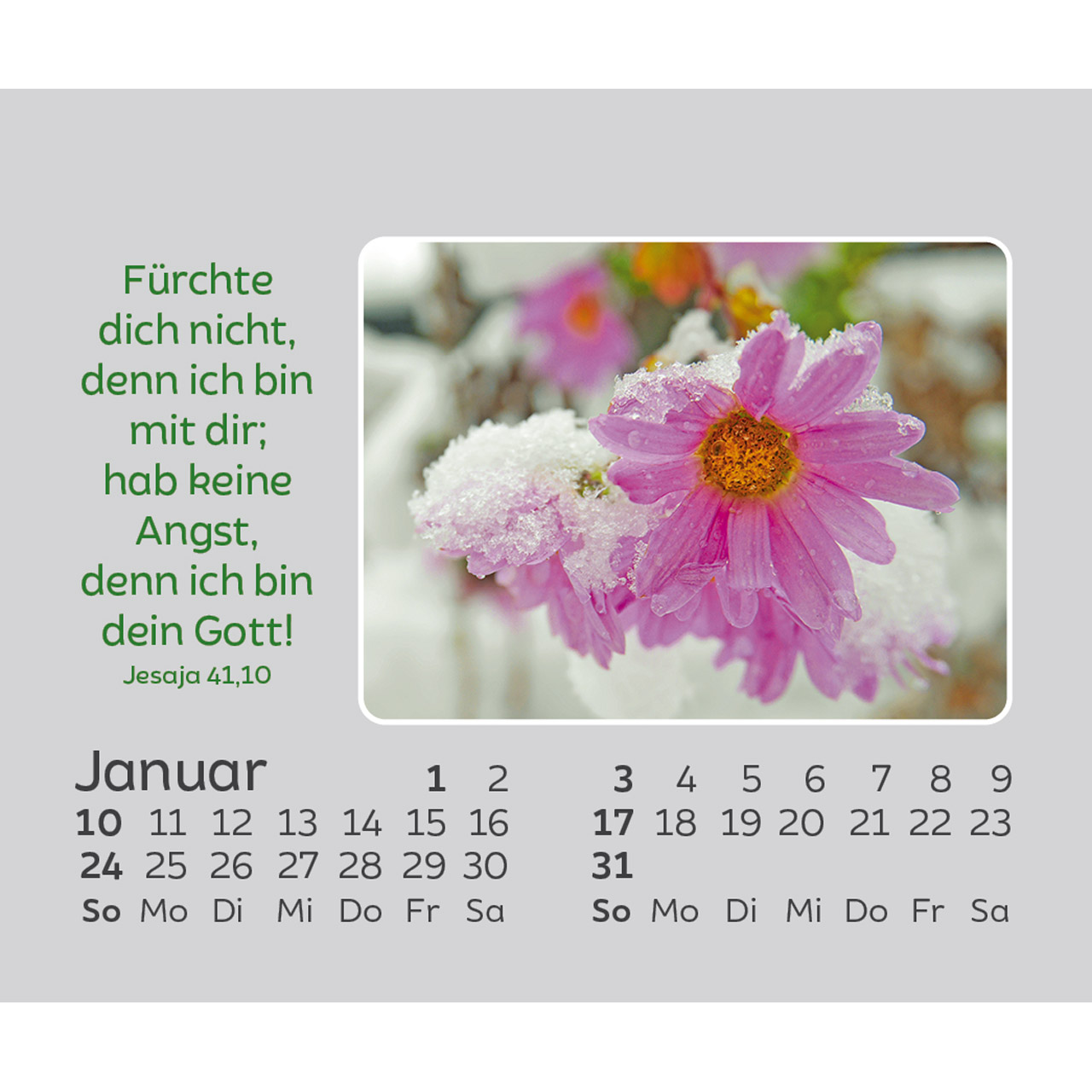 Freude für jeden Tag 2027 - Mini-Aufstellkalender
