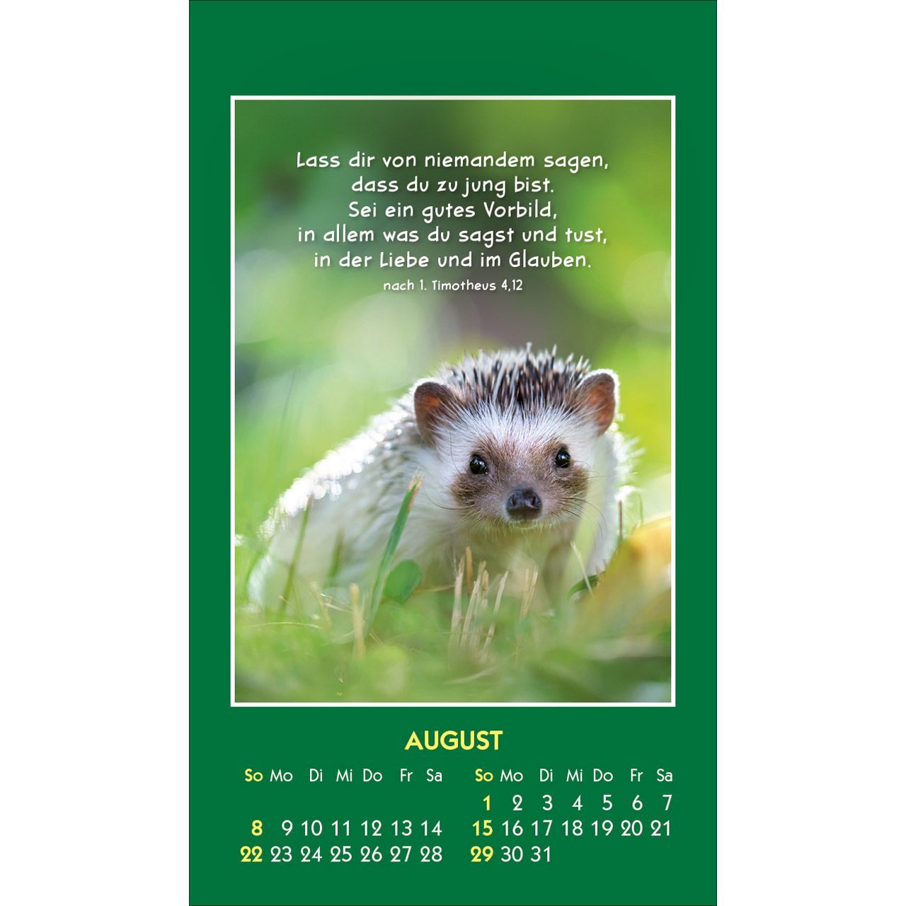 Hallo Du 2027 - Aufkleber-Kalender
