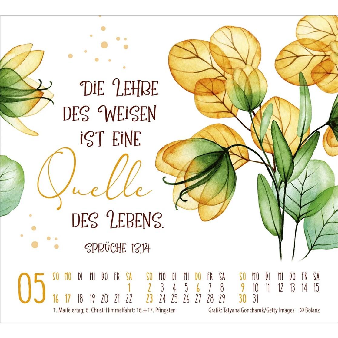 Geschützt in seiner Hand 2027 - Minikalender