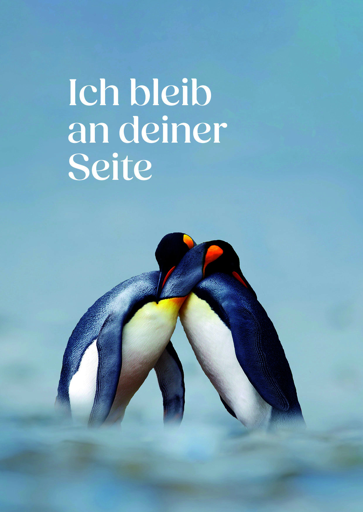 Blessings für dich