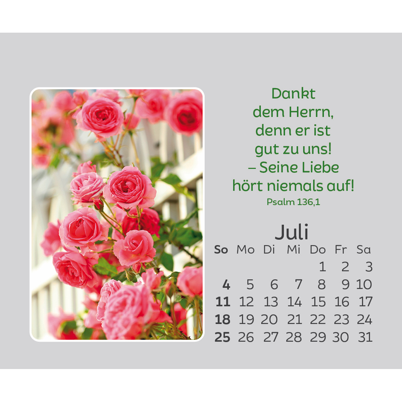Freude für jeden Tag 2027 - Mini-Aufstellkalender