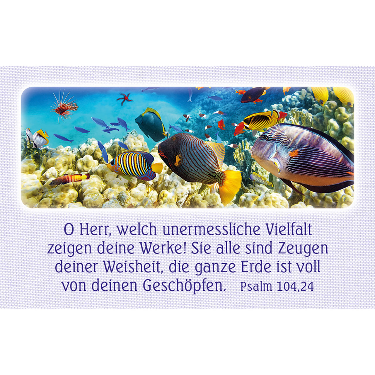 62 Psalm-Gebete (Karten-Box)