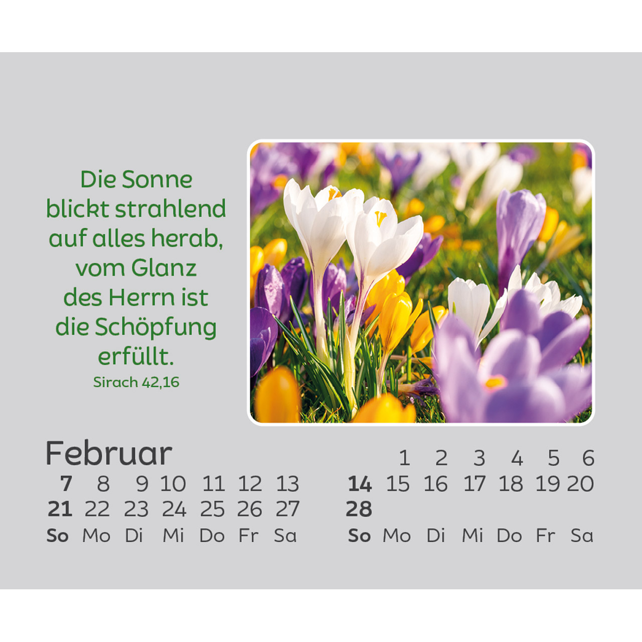 Freude für jeden Tag 2027 - Mini-Aufstellkalender
