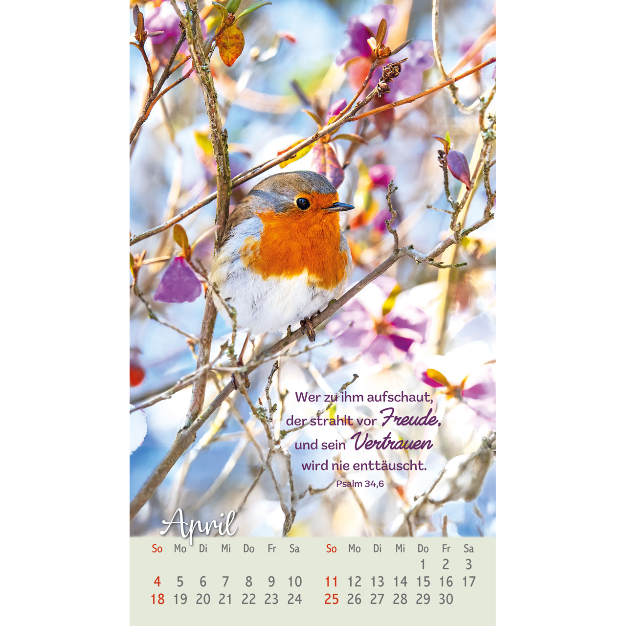 Beflügelt und geborgen 2027 - Postkartenkalender