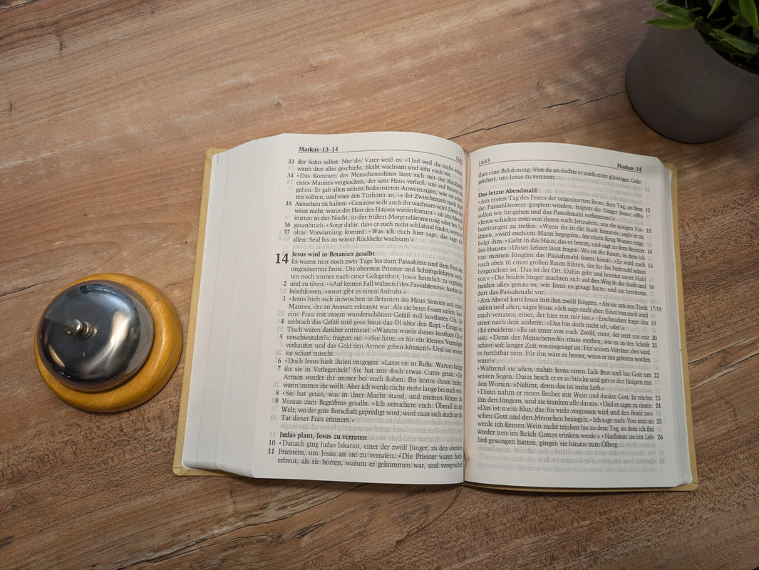 Neues Leben. Die Bibel. Große Schrift, Kunstleder