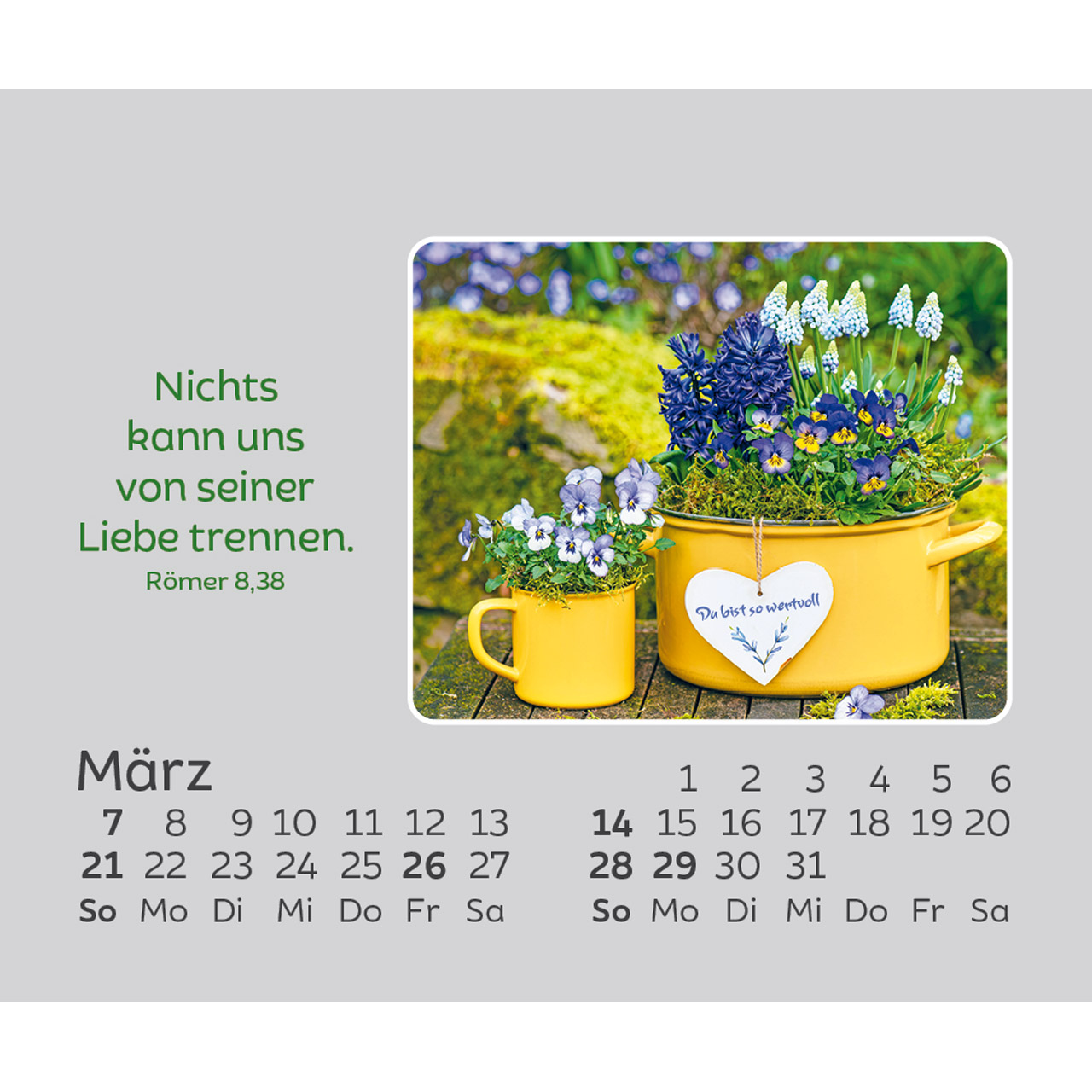 Freude für jeden Tag 2027 - Mini-Aufstellkalender