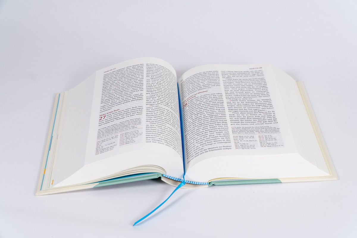 Neues Leben. Die Bibel für Kids