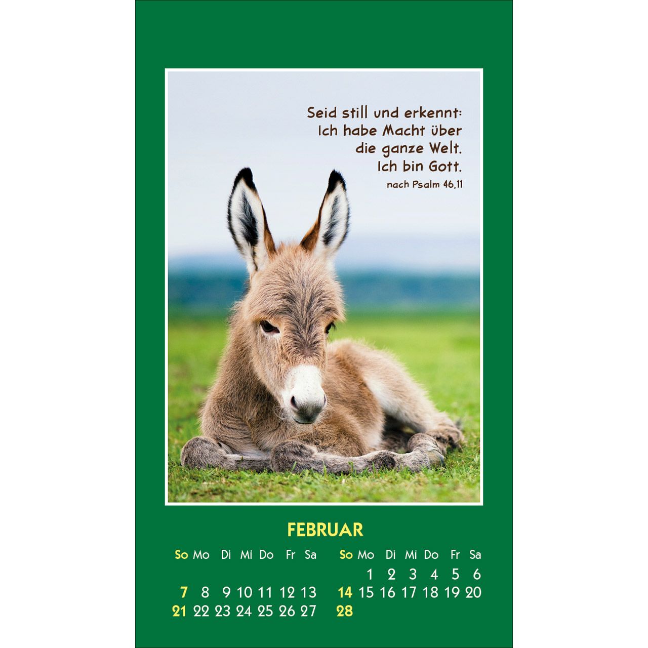 Hallo Du 2027 - Aufkleber-Kalender