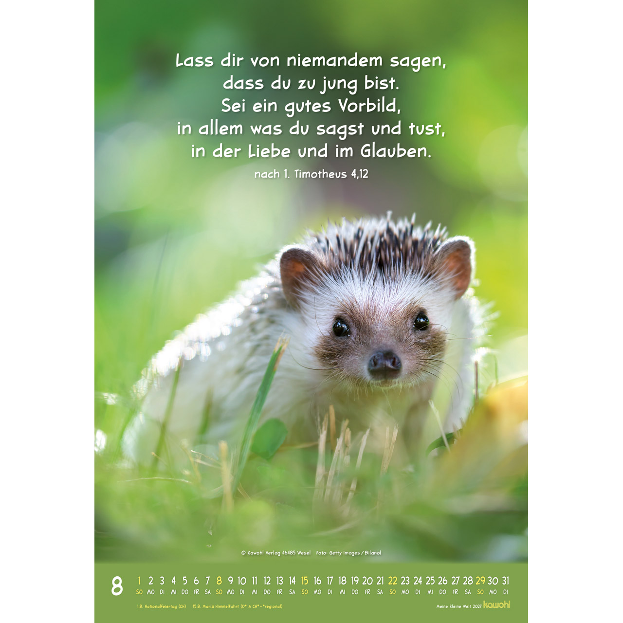 Meine kleine Welt 2027 - Wandkalender