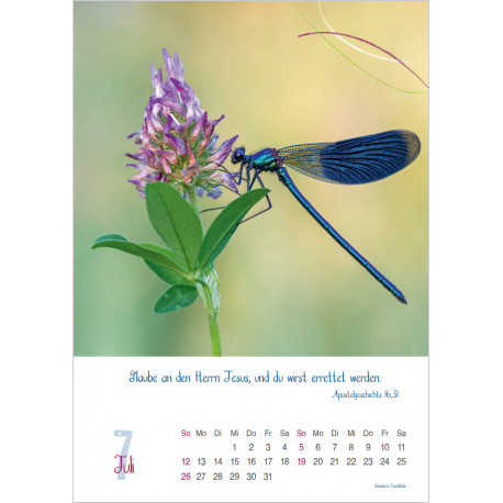 Natur 2026 - Wandkalender