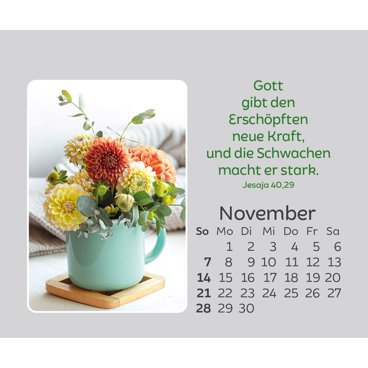 Freude für jeden Tag 2027 - Mini-Aufstellkalender
