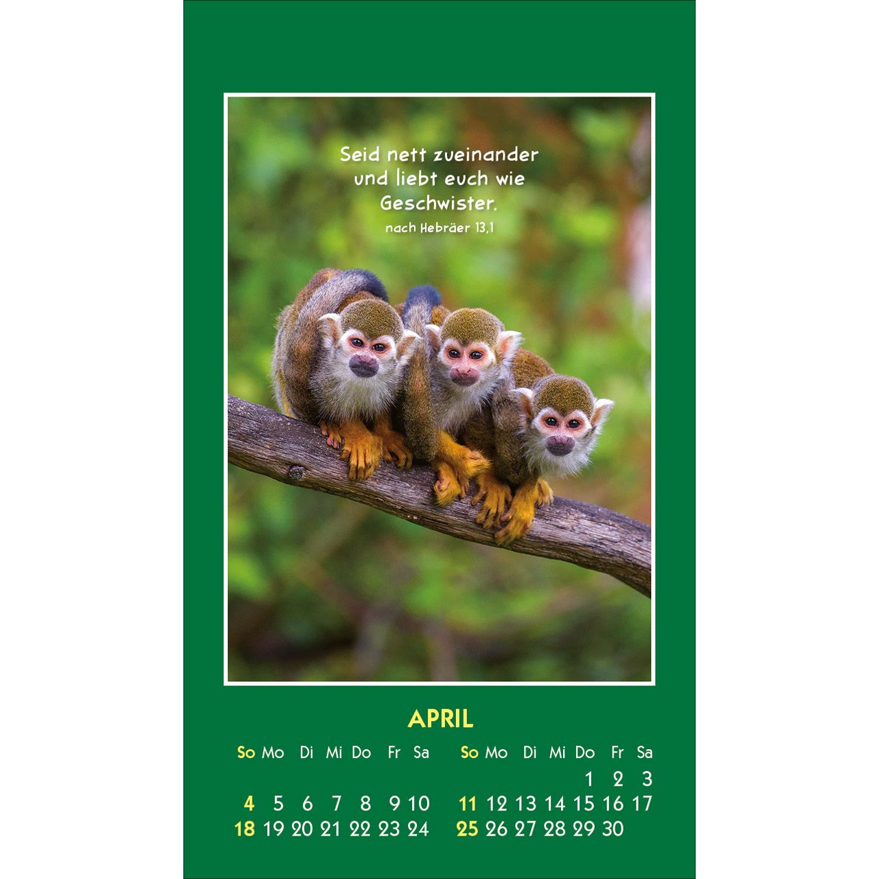 Hallo Du 2027 - Aufkleber-Kalender
