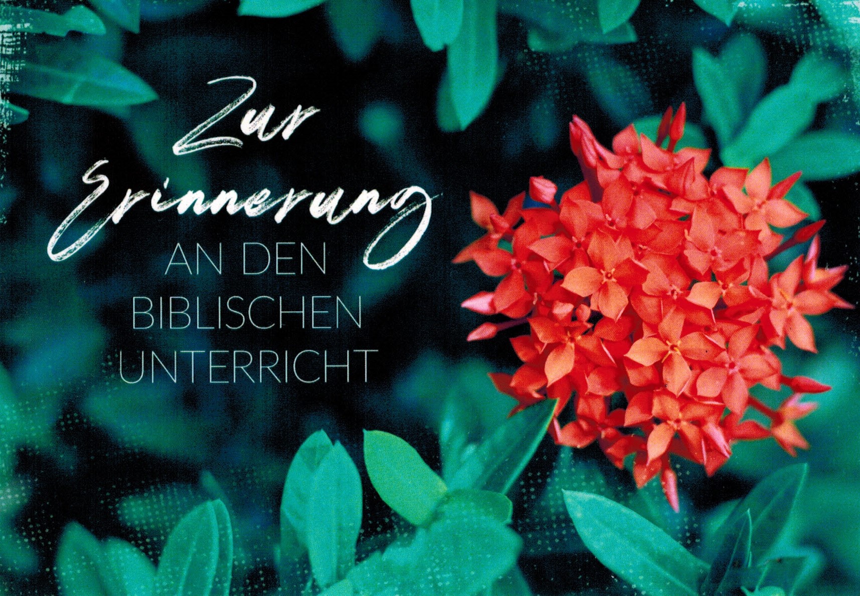 Faltkarte: Biblischer Unterricht