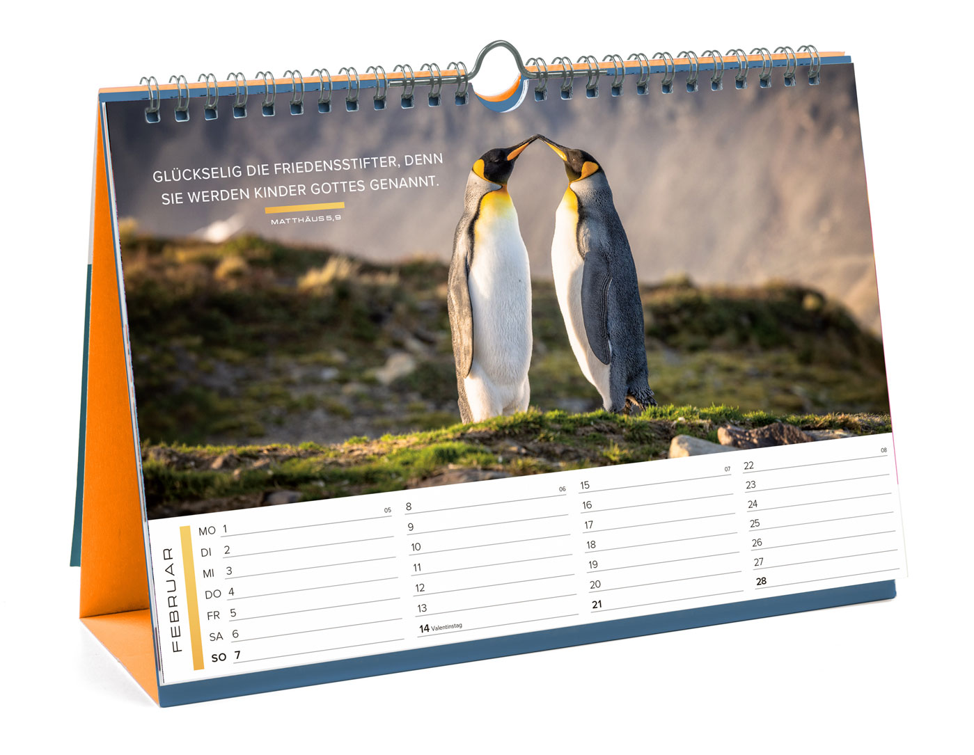 Life is more 2027 - Tischkalender