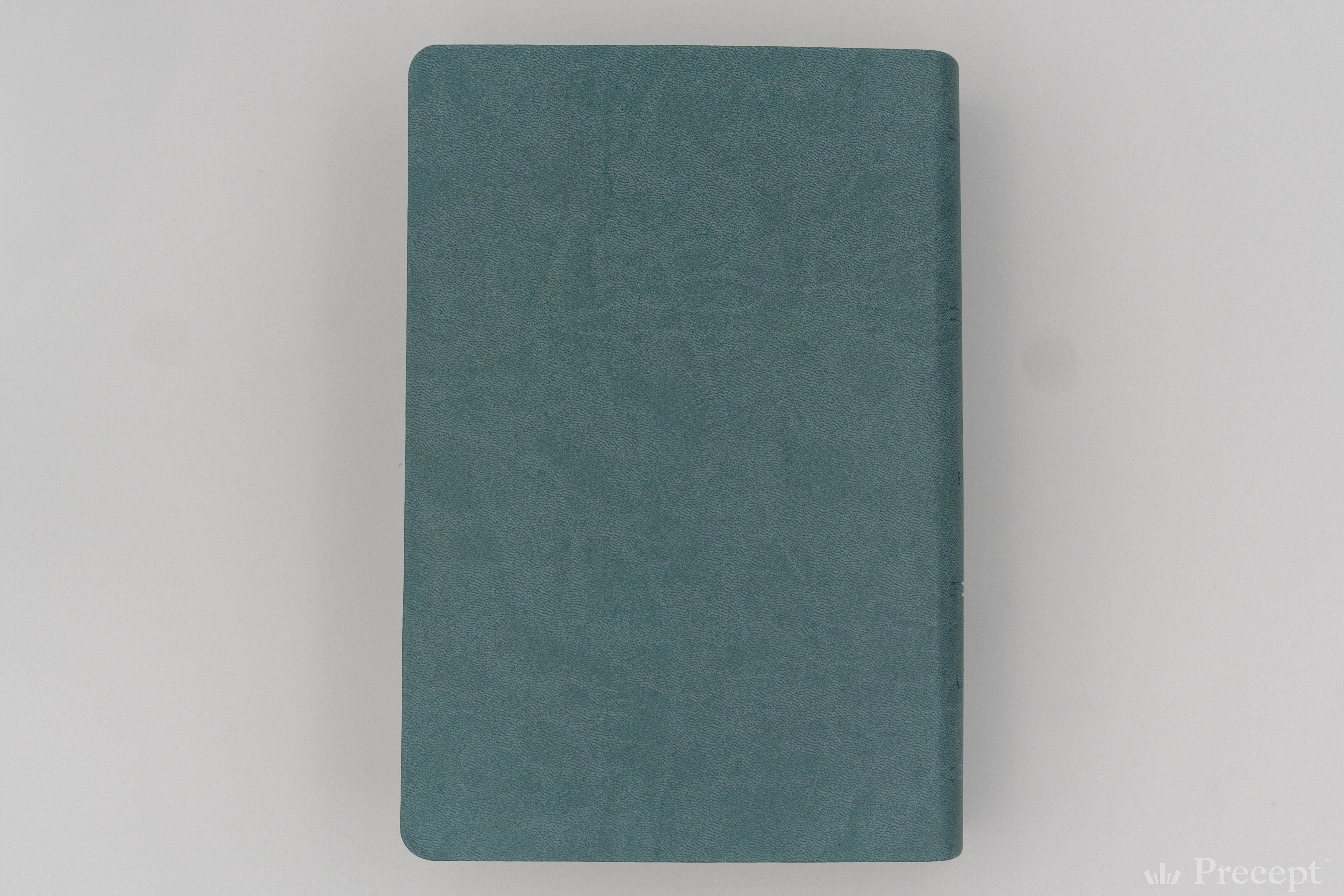 Die Neue Induktive Studienbibel