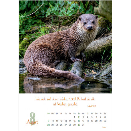 Natur 2026 - Wandkalender