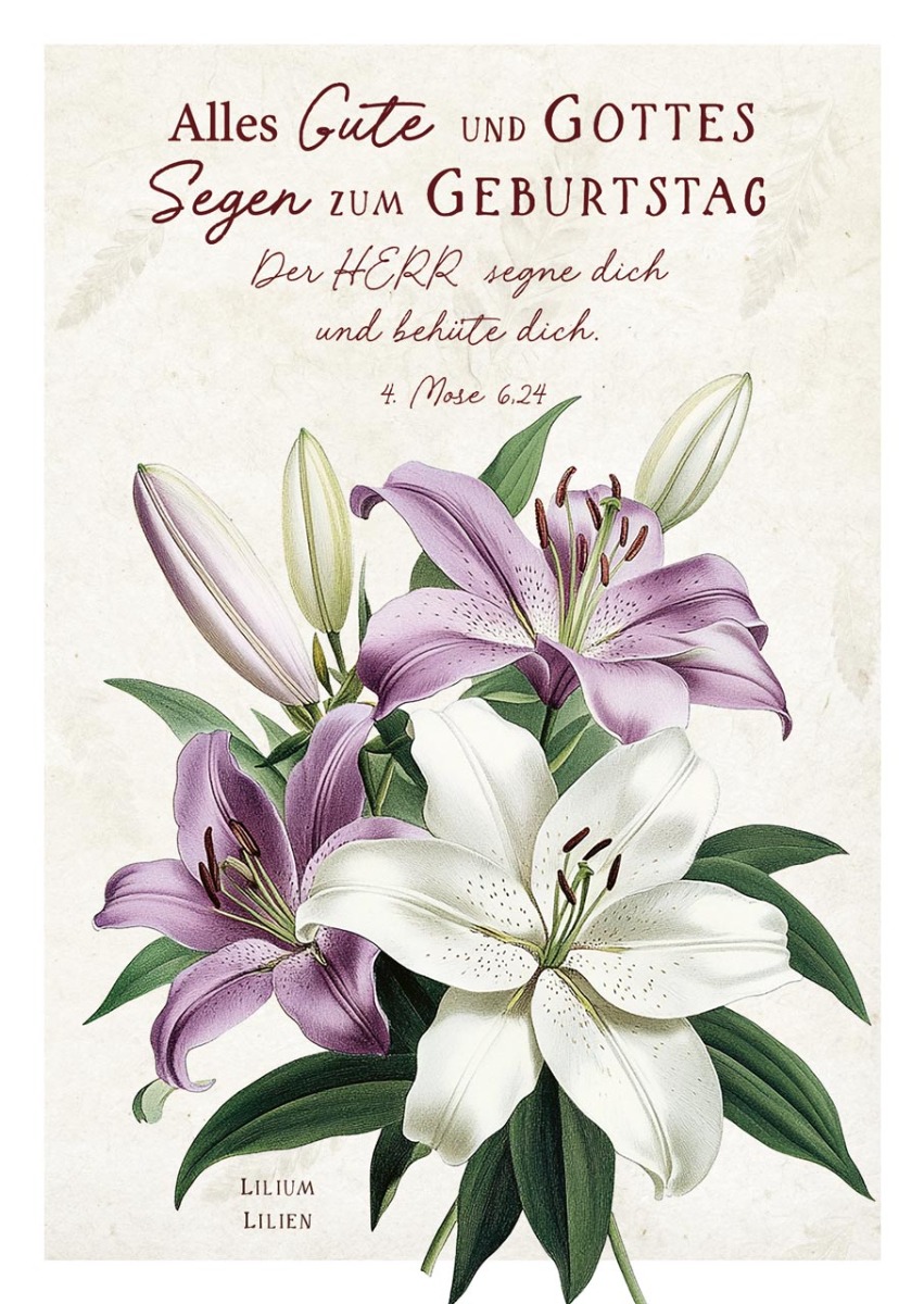 Postkarte Alles Gute und Gottes Segen zum Geburtstag 12 Ex.