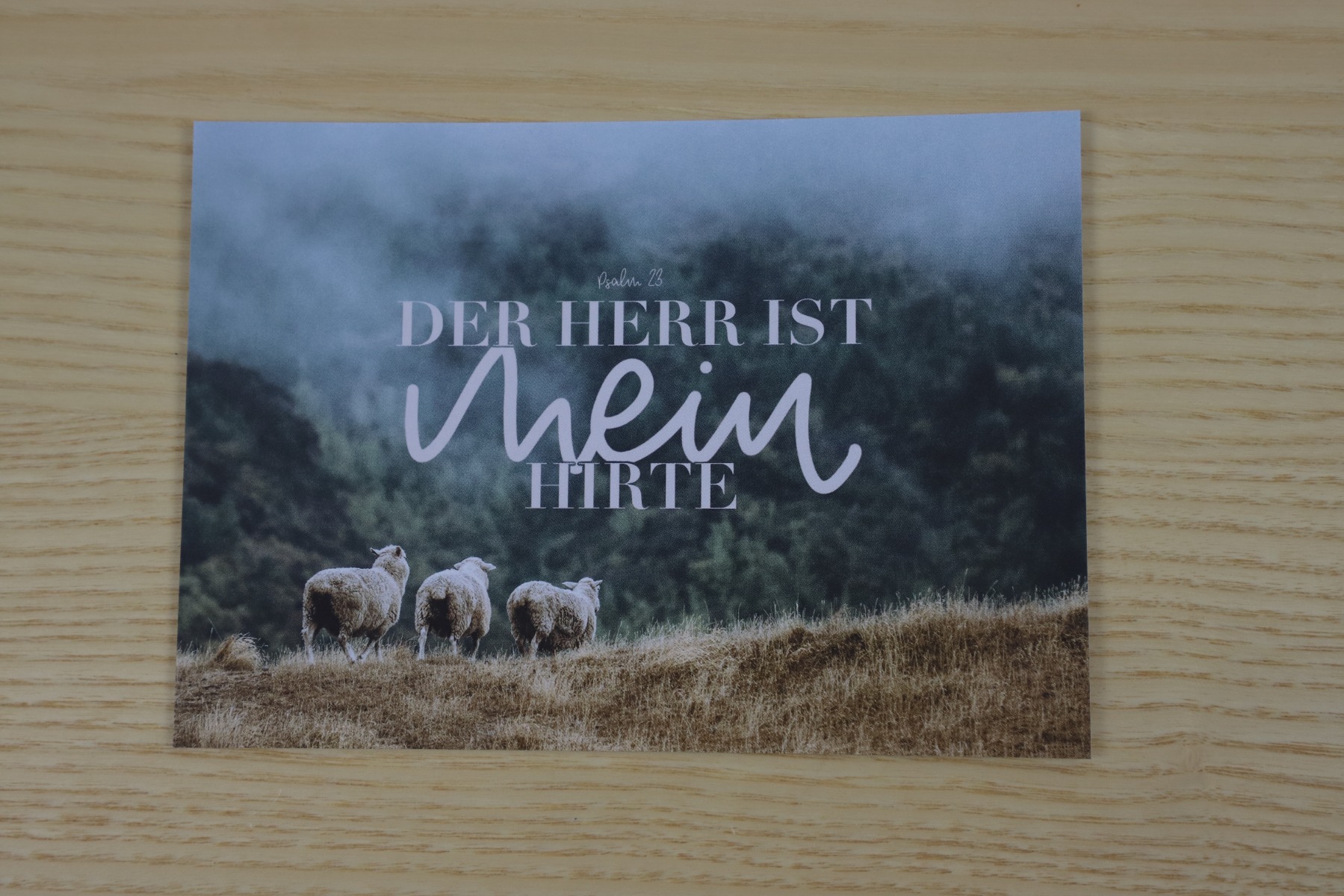Postkarte - Der Herr ist mein Hirte (Einzelkarte)