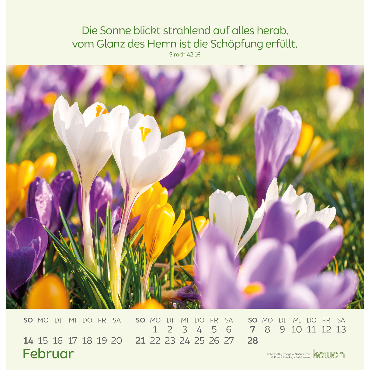 Blumengrüße 2027 - Wandkalender
