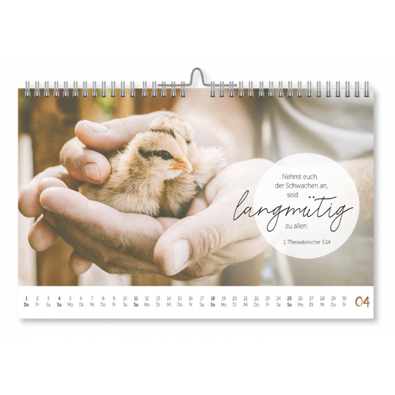 At Home - Geborgen bei Gott 2027 - Postkartenkalender